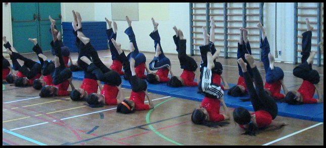 Gym 033.jpg
